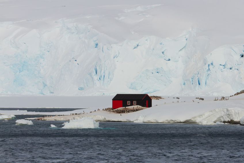 antartic cruise