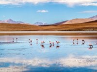 The Ultimate Two Week Northern Chile Itinerary