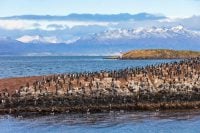 Highlights of Visiting the Historic Beagle Channel