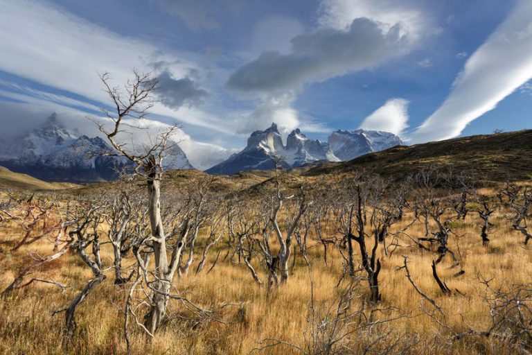 w trek torres del paine