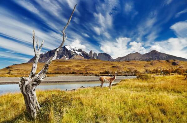 patagonia vacation ideas