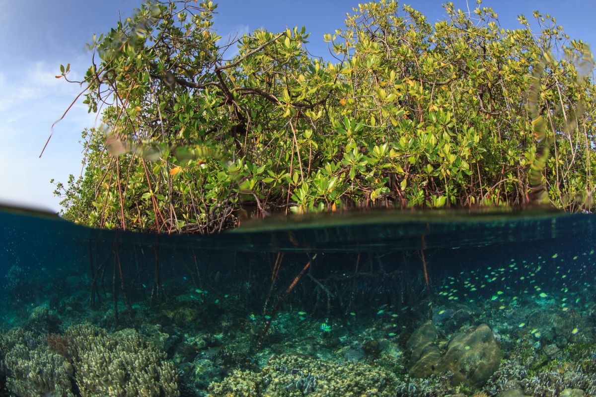 Visiting the Stunning Black Turtle Cove