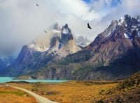 Best Destinations for Birdwatching in Patagonia