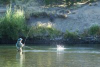 Argentina’s Fishing Hotspots: An Angler’s Guide to Argentina