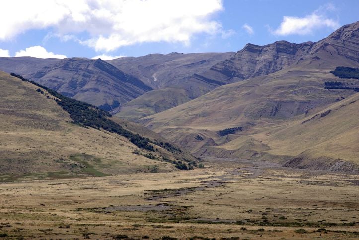 patagonian steppe