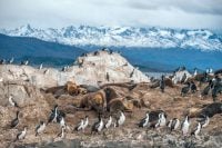 3 Patagonia tours to do before you die