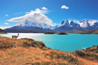 Chile’s Patagonia region: Where to go, how to get there and what to do