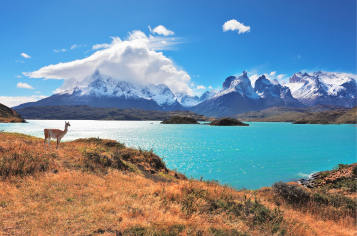 patagonia region