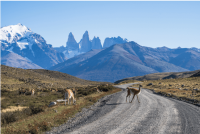 How to get to Torres del Paine from Puerto Natales bus station
