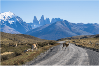 How to get from Puerto Natales to El Chaltén