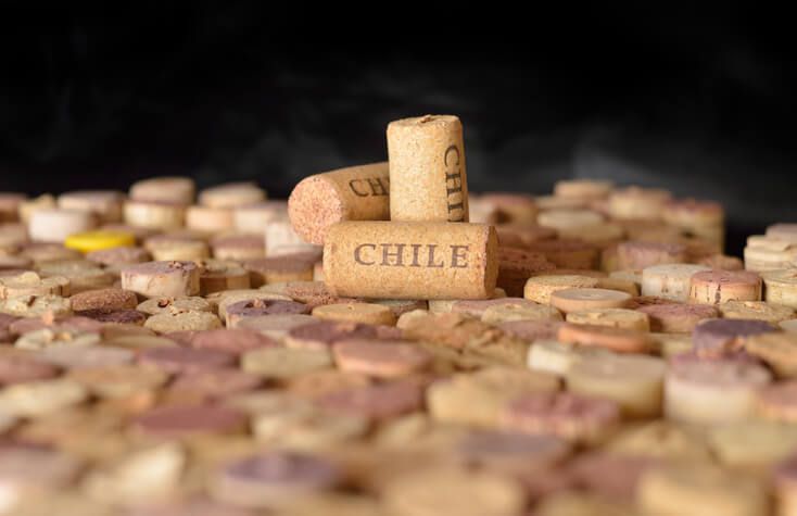 chilean wine types