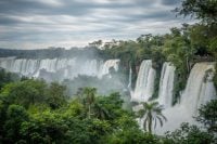 Iguazu National Park, a sea of greenery in Northern Argentina