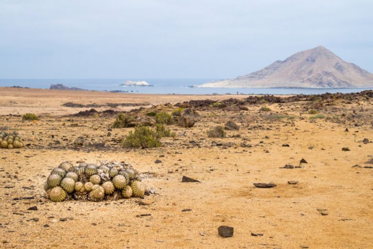 desert in south america