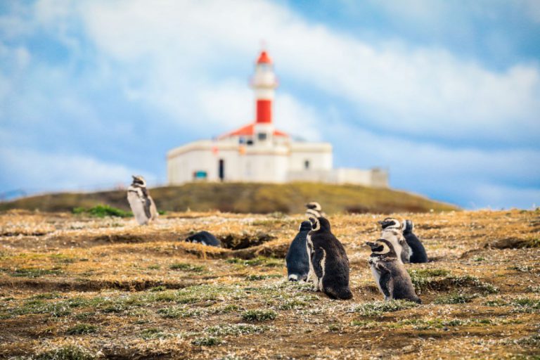 magdalena island