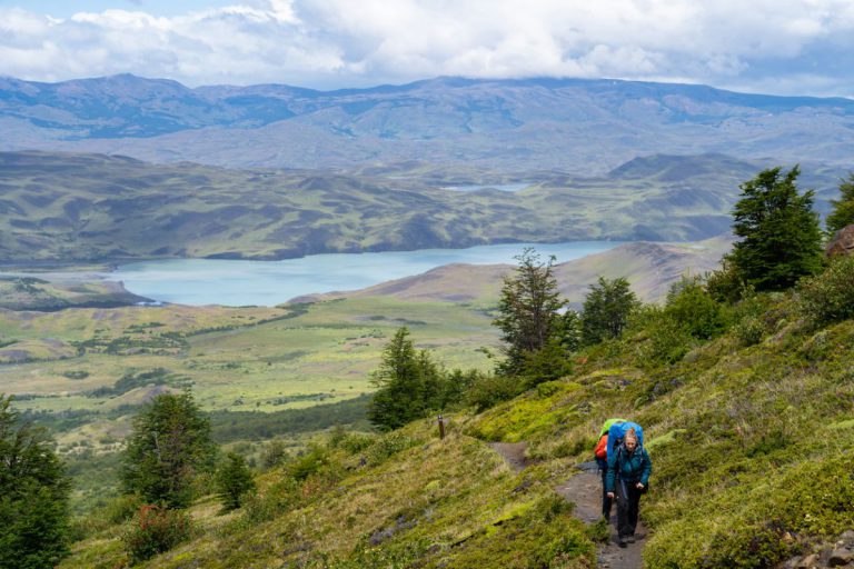 w trail patagonia